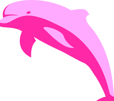 pink dolphin tour with pig island snorkelling