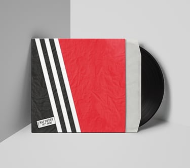 Vinyl album in a sleeve