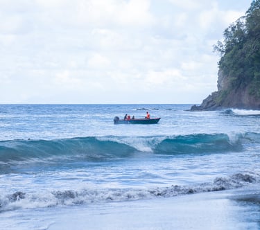 Martinique paysage photo