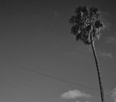 © juergen mack photography - places