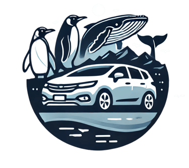 traslados patagonia puerto madryn servicio de taxi