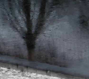 © juergen mack photography - moods