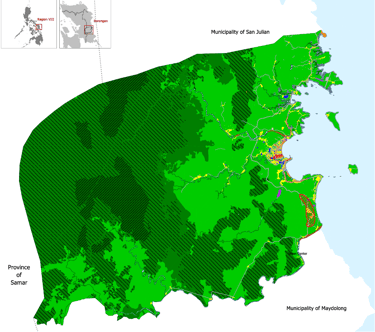 Urban Planning - Borongan CLUP
