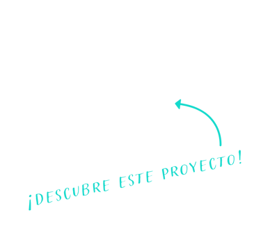 proyecto de branding