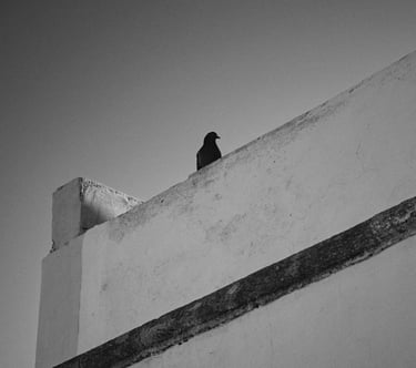 © juergen mack photography - moments