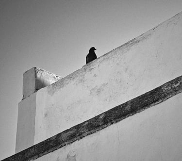 © juergen mack photography - moments