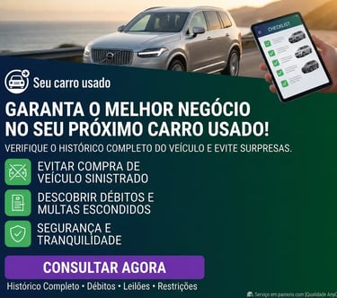 Consulta veicular