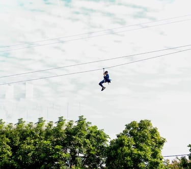 SAM Zip Line 