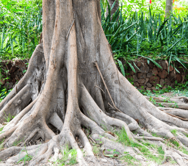 Grounding to Connect to Mother Earth