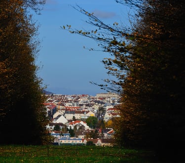 expert bâtiment à Sarrebourg