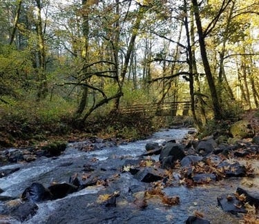 Columbia River Gorge, Oregon - Bridal Veil creek and Bridal Veil falls