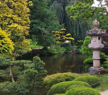 Photo du parc de Maulévrier pour présenter un article de blog de Xirkys artiste plasticienne