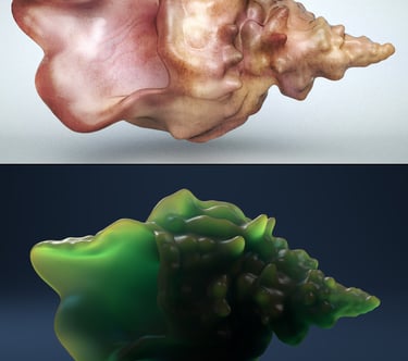 Image of the free conch shell 3d model you can download