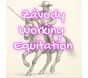 cswe závody working equitation