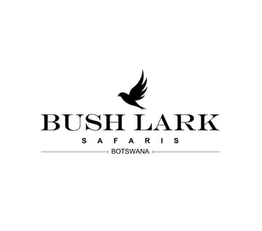 Bush Lark Safaris