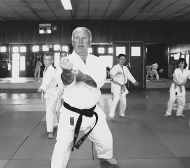 taï jitsu baisieux