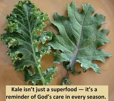 Kale isn’t just a superfood — it’s a reminder of God’s care in every season. 