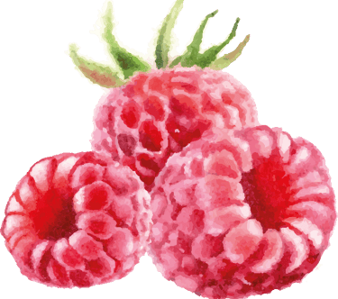 drei Himbeeren