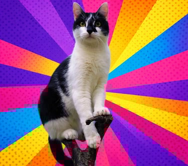 Elvis : Leader dans l'âme