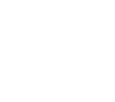 Logo of Linguages - Expert Language Services, the company name in white on elegant green background