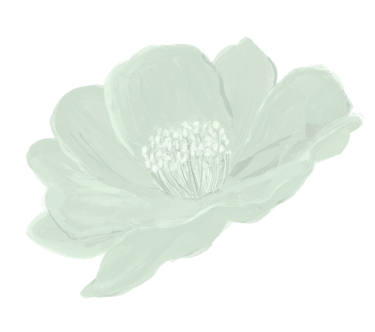 Sketched camellia in light green