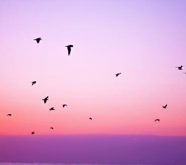 Contact counsellor/therapist in West Sussex