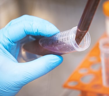 Human blood and cord blood from CTIBIOTECH