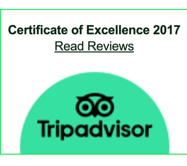 Trip Advisor Certificate of Excellence 2017 - Yoda Guy Movie Experience