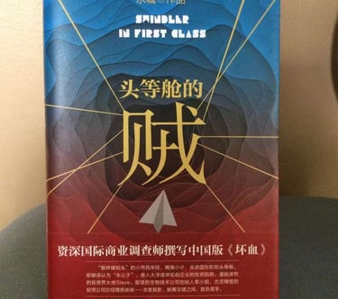 永城的作品”头等舱的贼”封面。