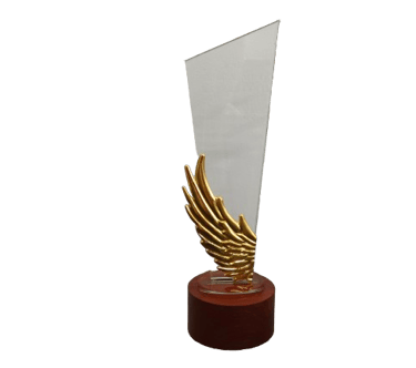 a trophy trophy with a gold trophy award