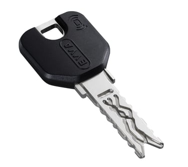 Key and electronic fob in one
