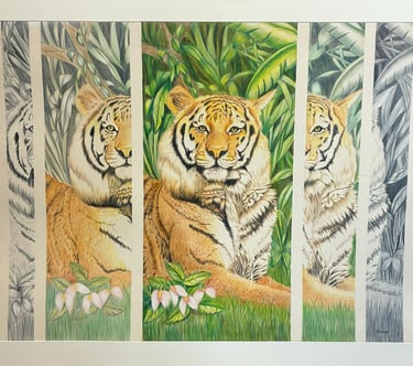 painting of tiger