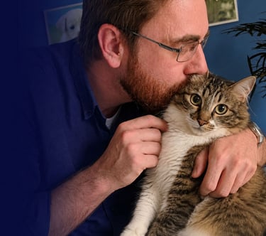 veterinario de felinos