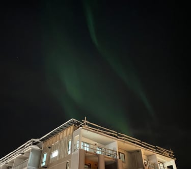 Northern Lights in the city