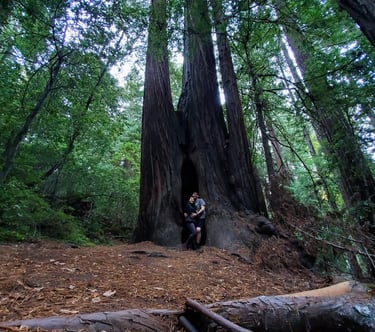 Humboldt State Park 