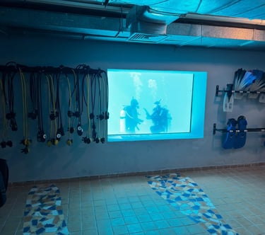 ohana-divers-marsa-alam-dry-room-pool-view