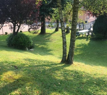 il giardino in una giornata soleggiata 