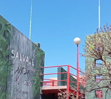 MURAL "SALVAJE" - MATÍAS BLASCO