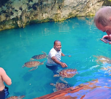 Exciting moment as a visitor plays and swims with sea turtles in Zanzibar aquarium