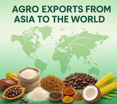 High Business International sourcing cocoa and rice from Southeast Asia
