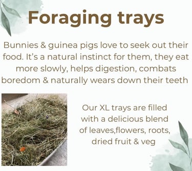 foraging trays