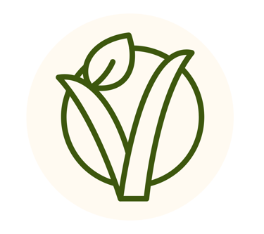 Plat végétarien de notre brasserie vue mer à saint-malo