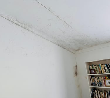 Black mold growth spreading across a white bedroom ceiling and corner wall near a bookshelf.