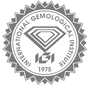 IGI Logo