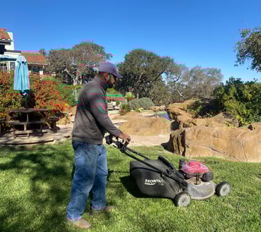 Lawn care 