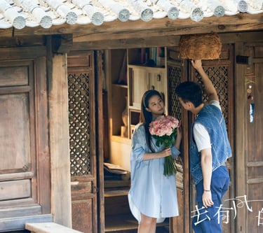 Meet Yourself – Conheça a Si Mesma - 去有风的地方 - C-Drama - DoramaLand