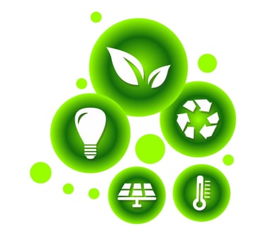 Sustainable sourcing practices by Cavity Studios ensuring eco-friendly and ethical production CSDDD