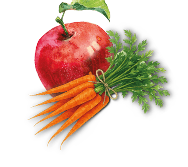 ein roter Apfel und eine Karotte