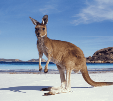 destinations-de-voyage-australie
