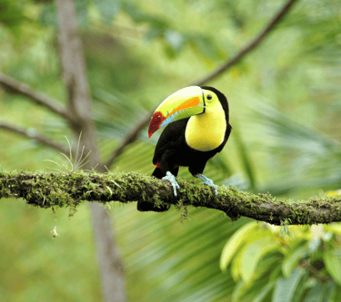 destinations-de-voyage-costa-rica